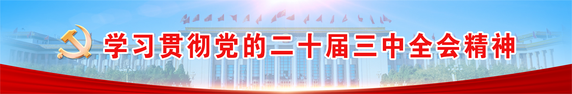 学习贯彻党的二十届三中全会精神
