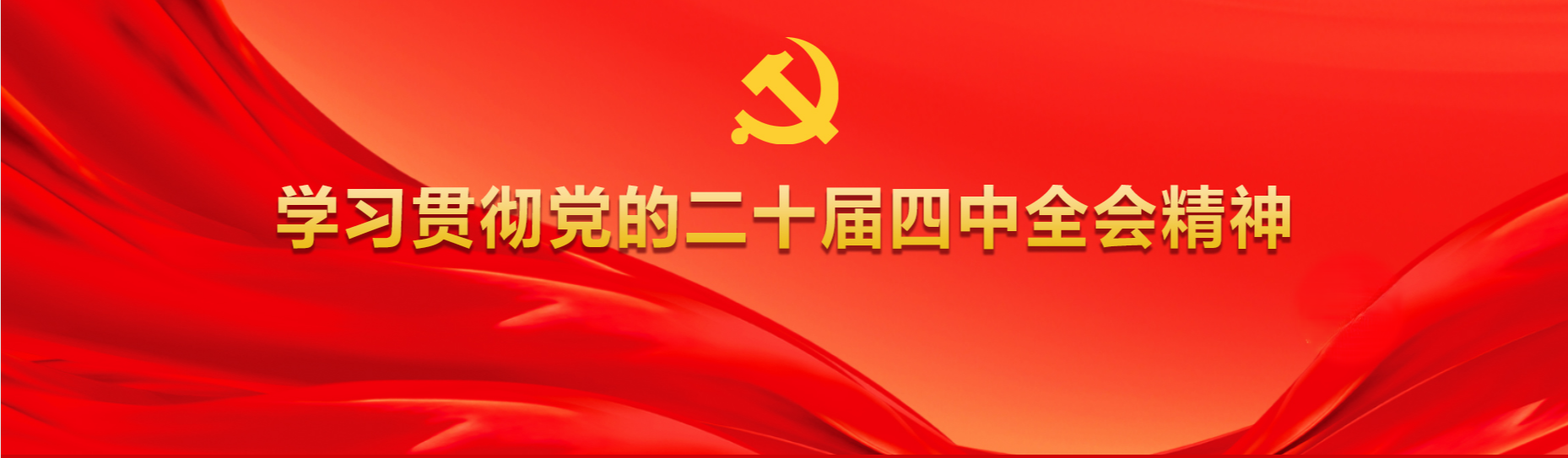 学习贯彻党的二十届四中全会精神